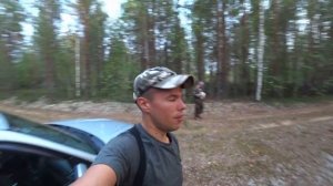 Поехали за грибами в деревне! Черевково, много белых грибов! Архангельская область.