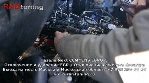 Глушим ЕГР на Газель евро5. Отключаем сажевый фильтр