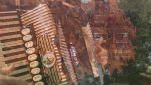 ОСЕННИЕ СНЫ. ДУЭТ!