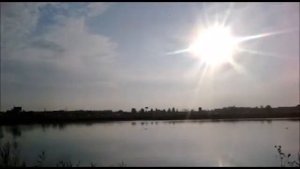 Птичья гавань  Омск