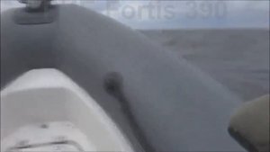 РИБ Fortis 390 - Фортис со съемными баллонами под мотором