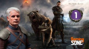 The Elder Scrolls Online. Первое путешествие