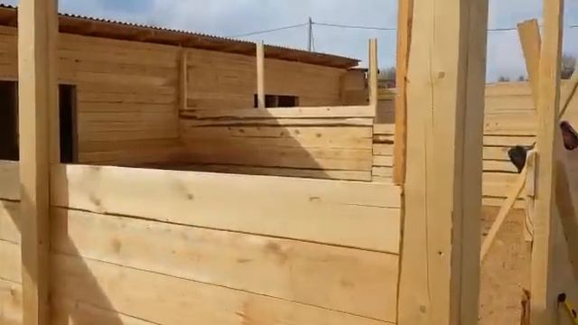 Приют "Гвардия". 01 МАЯ 2018г. ДИВОВО ЧАСТЬ 3