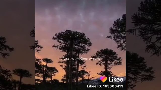 С тех пор Любовь слепа, а Сумасшествие водит её за руку. смотреть онлайн