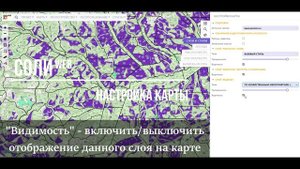 Настройки картографических отображений в СОЛИweb