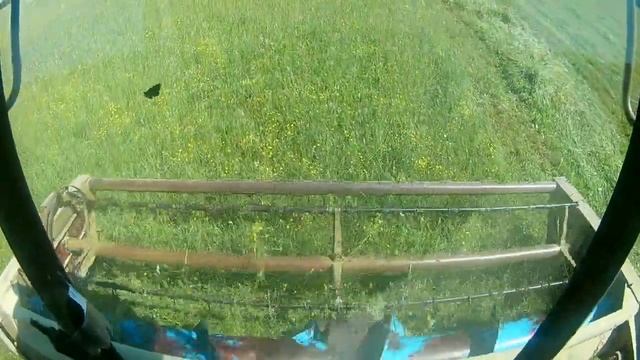 Сенокос в самом разгаре 2022 смотреть онлайн