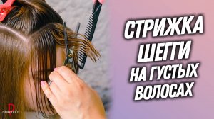 DEMETRIUS | Стрижка ШЕГГИ на густые волосы в технике Деметриус