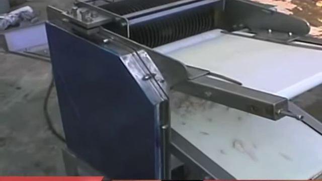 Машина нарезки филе рыбы и кальмара