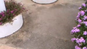 остров Хайнань,бухта Ялуньвань,Китай(Завтраки,часть 2)Путешествия или Коля из Усолья