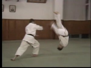 Aikido Yoshinkan. Kihon dosa to kanren waza