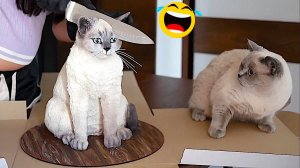 Я РЖАЛ ДО СЛЕЗ 😹 СМЕШНЫЕ КОШКИ И СОБАКИ _ СМЕШНЫЕ ЖИВОТНЫЕ 2024 😹 ЛУЧШИЕ ПРИКОЛЫ