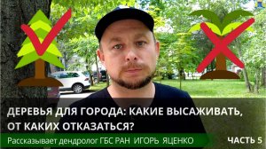 Какие деревья сажать в городе?