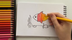 Как нарисовать рыбу. Как нарисовать рыбу карандашом, поэтапно, легко.