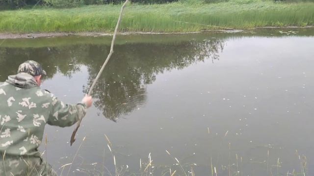 Закидушки на щуку.Рыбалка на Сосьве 2021. смотреть онлайн