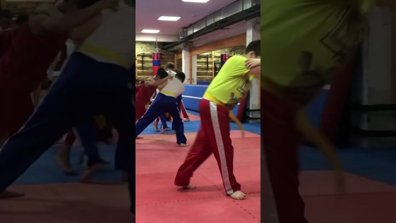 Кикбоксинг тренировки пятнашки ногами #karate #fighter #mma #taekwondo #sports #бокс  #boxing