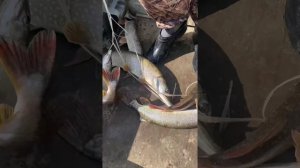 Поездка на рыбалку Томская область