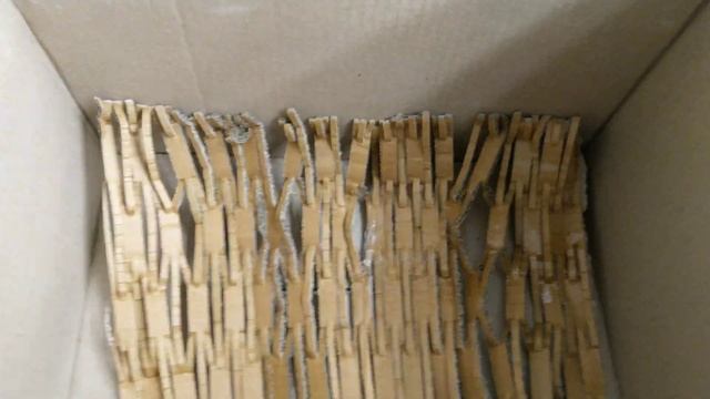 В первые отправляю растения почтой России, в другой город. смотреть онлайн