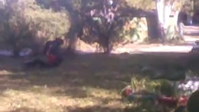 Дерутся гомосеки во дворе у школы смотреть онлайн