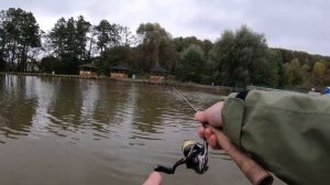 Мисайлово TROUT.  Сентябрьская форель