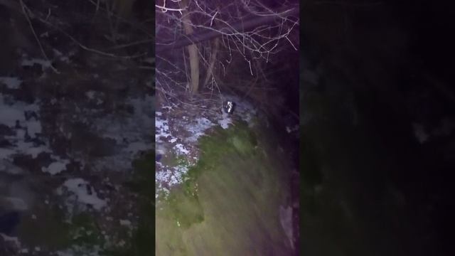 Форт 12 РМ 155 Дж (2) смотреть онлайн