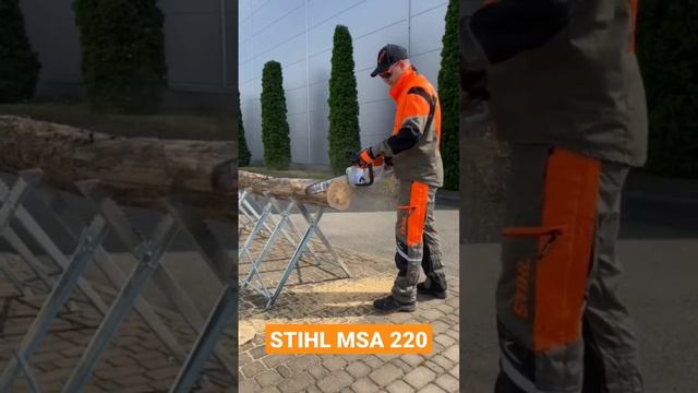 Акумуляторна пила STIHL MSA 220 в роботі #stihl