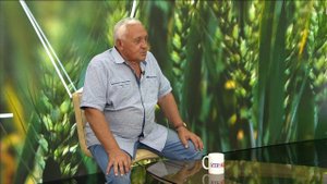 Утро Донбасса. 21 июня 2024г. Дача. Полив в летний зной. Сергей Криуля.