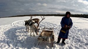 Соревнования по сноукайтингу «Северный ветер»