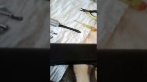 Разбор  TEDNA  k 125