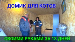 Домик для котов своими руками за 13 дней!