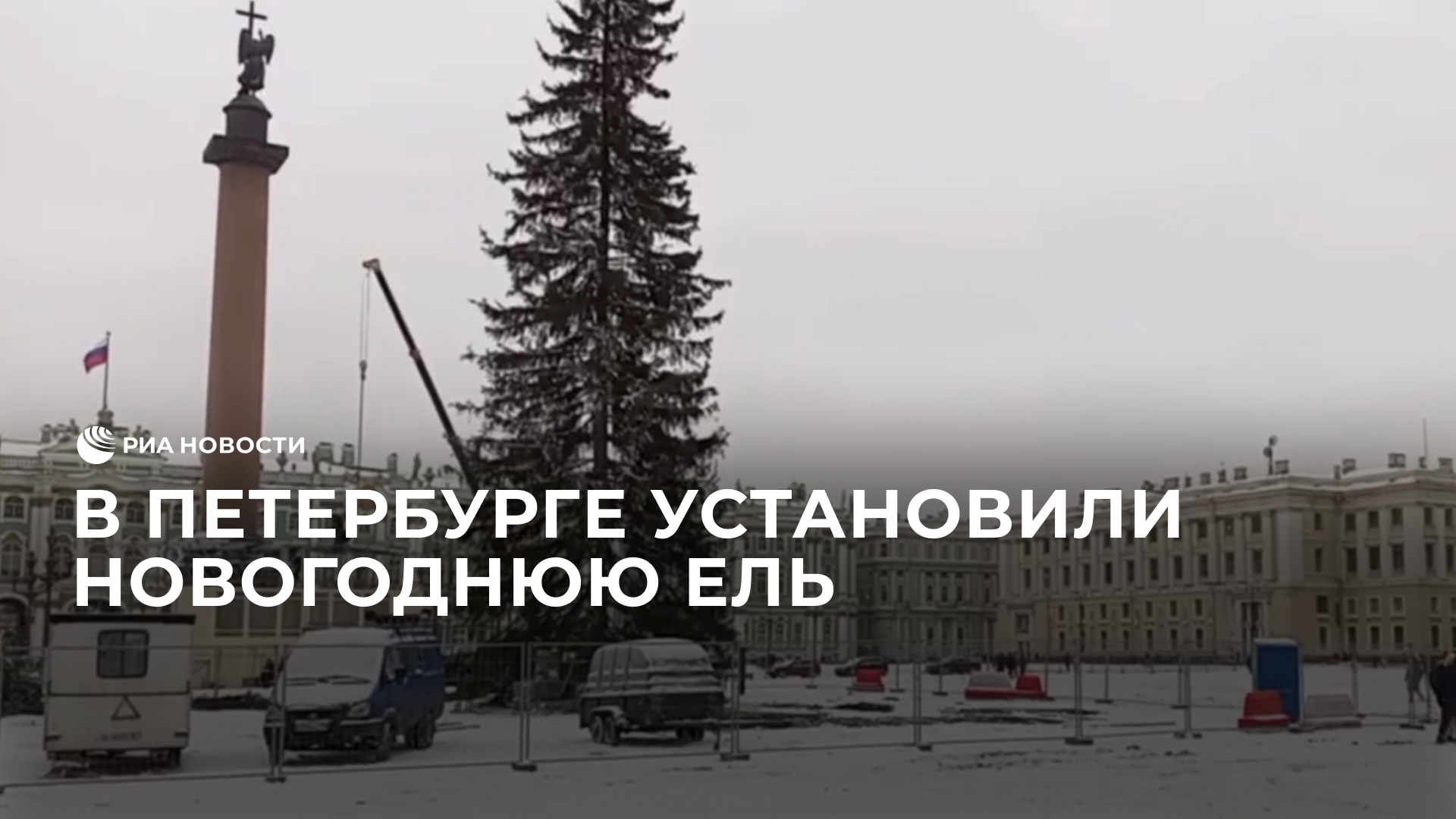 В Петербурге установили новогоднюю ель