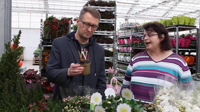 Unsere Angebote für die KW 45 смотреть онлайн