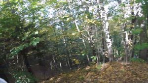 Истра - одно из лучших мест для эндуро в Подмосковье. Обзор локации / K2R 300