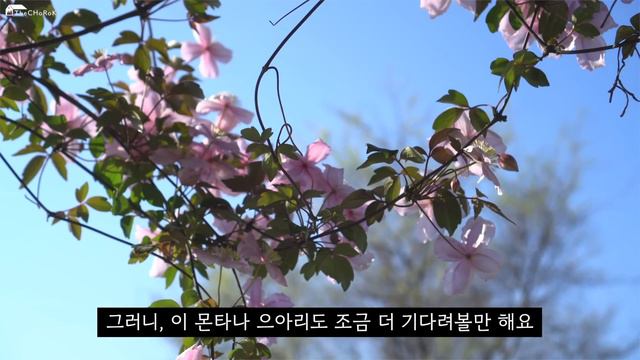 SUB우리 지금 안된다고 실망하지 말아요!  울타리 만들고 다알리아 심는 가드너 일상  마당가드너 vlog