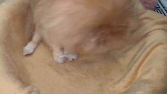 Всем доброго утречка и прекрасной субботы. смотреть онлайн