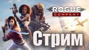 Rogue Company