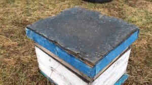 калифорнийская крыша для ульев