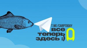 Самый крупный карповый телеграм канал страны! ПОДПИШИСЬ!