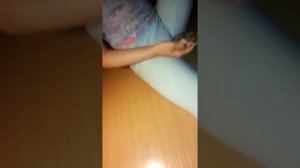 Я говарю а вы слушаете . Алиса пукает