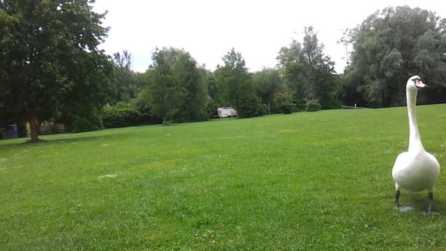 На диком пляже. FKK. Bagersee. Взгляд с коляски. Влог. Германия.Vlog. Senden. Germany