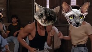 ДВЕ КИСКИ ТАНЦУЮТ DESPASITO С КОТОМ ПРИКОЛ 2020