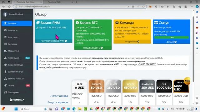 Гарантированные инструменты для пассивного дохода в Phenomenal Club! Спикер Анна Глинчук. смотреть онлайн