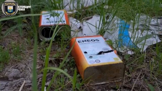 Жители посёлка Асино Томской области рады, что китайцы дают им работу - вырубать их собственный лес смотреть онлайн