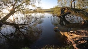 НОВАЯ НАСАДКА НА КАРПА. ЛОВЛЯ КАРПА НА ПОПЛАВОК