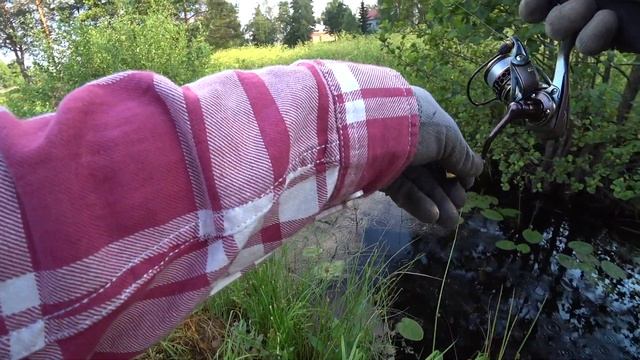 Мормышинг в микро-ручье. Окунь и плотва отлично ловятся в жару.
