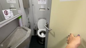 Крымский поезд ТАВРИЯ номер 160 ОБЗОР четырехместное купе для маломобильных инвалидов колясочников