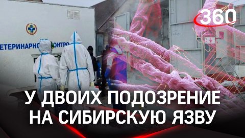 Двое с подозрением на сибирскую язву в клинике Подмосковье - первые анализы её пока не подтверждают