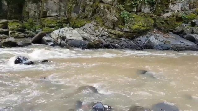 Долгий путь в Грузию. смотреть онлайн