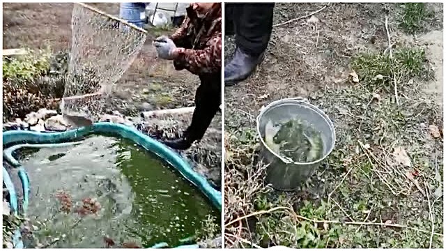 Мужики прикалываются!