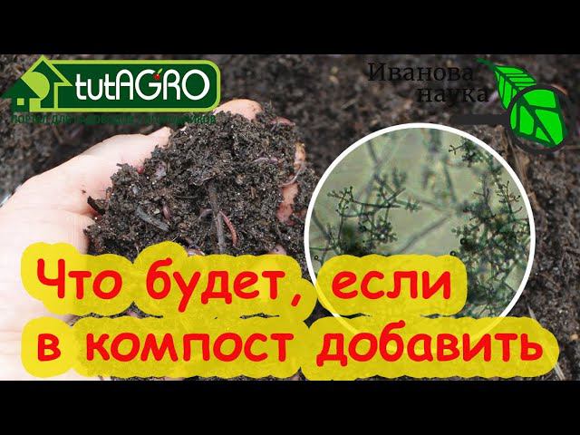 Усталая почва снова плодородная. НЕ КОМПОСТ, а настоящее ЧУДО! Обновите почву этим компостом.