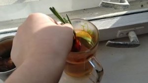 Посадка комнатных растений в горшки | Спасаю выброшенный цветок алоэ, спатифиллум